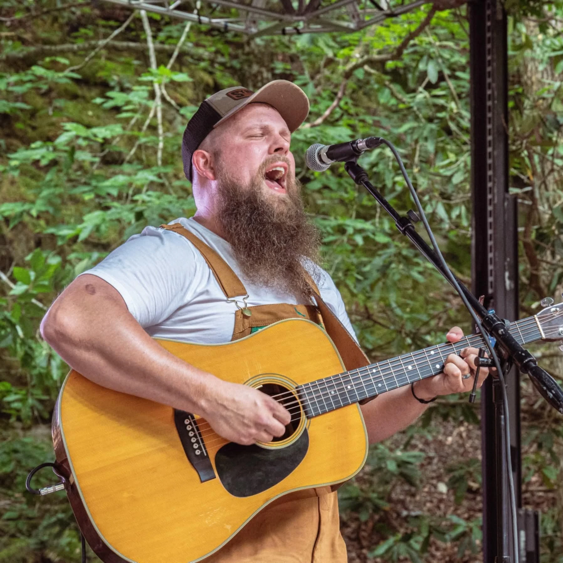 Bill Taylor and the Appalachian Heatherns