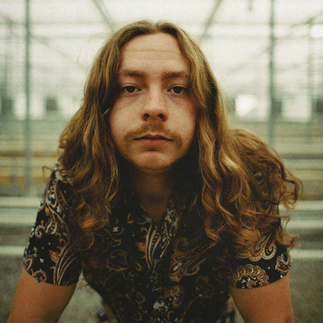 Logan Halstead